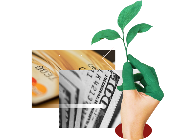 CMS, CRM, ERP development company