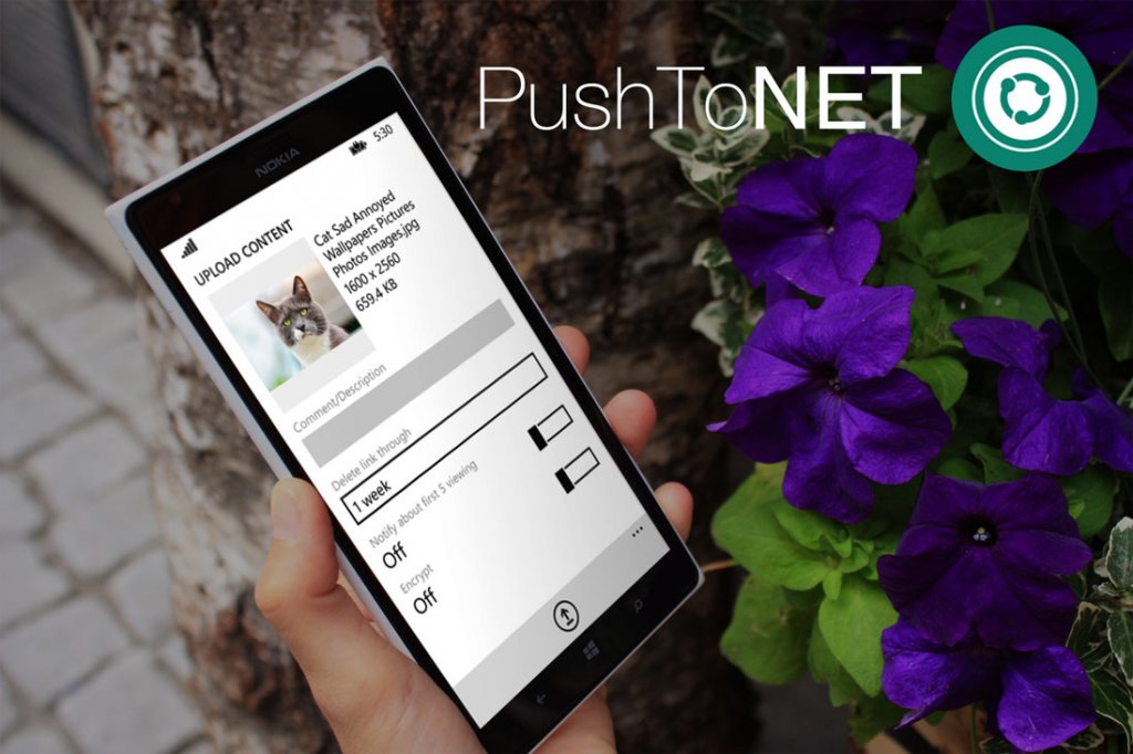 We Present You – The PushToNet App!