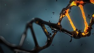 Java Development Team VS “Trendy Technologies” In Legacy Projects