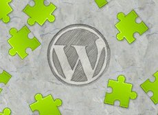 4 Things You Should Avoid While Creating Your WordPress Themes