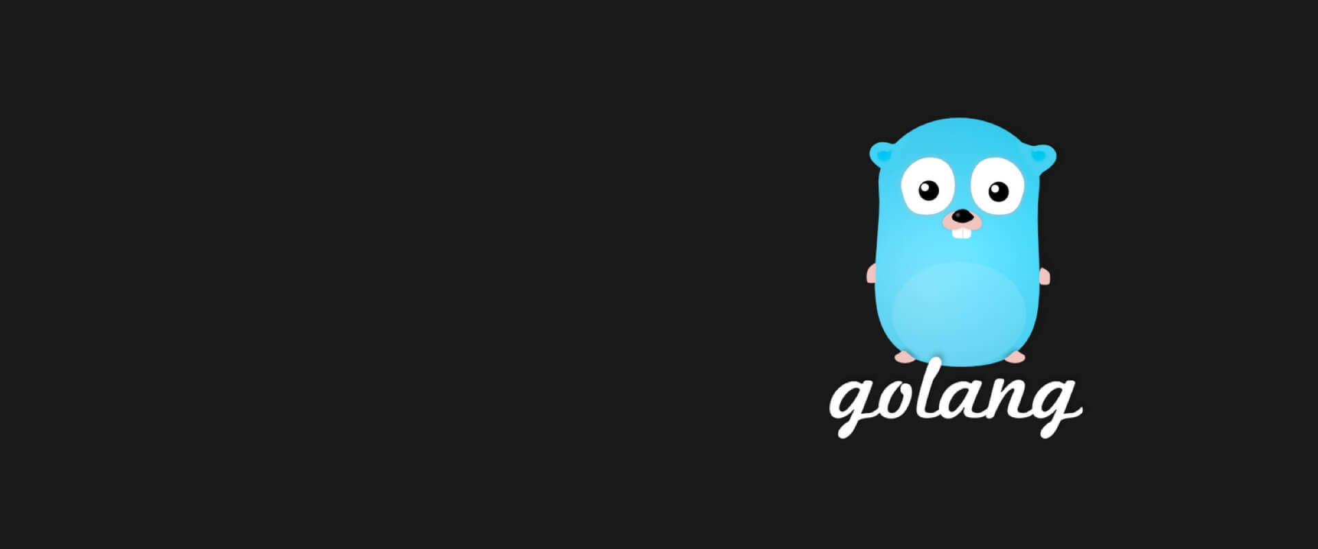 Hire Golang Developers