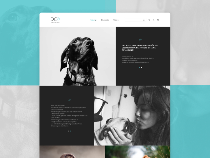 Website Redesign for a Dog Health Center 1